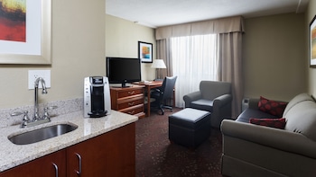 Suite, 1 King Bed with Sofa bed