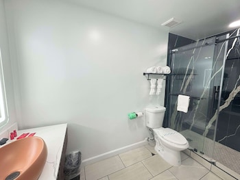 Standard Room, 1 King Bed, Non Smoking, Refrigerator & Microwave (Shower Only;with Sofabed)