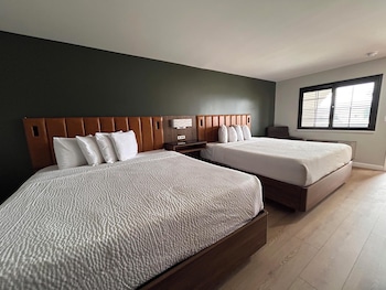Standard Room, Multiple Beds, Non Smoking, Refrigerator & Microwave (Shower Only)