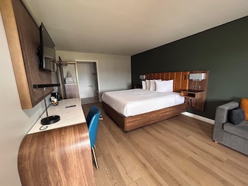 Standard Room, 1 King Bed, Non Smoking, Refrigerator & Microwave (Shower Only;with Sofabed)