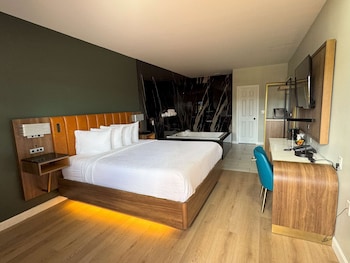 Standard Room, 1 King Bed, Non Smoking, Jetted Tub (Walk-in Shower)