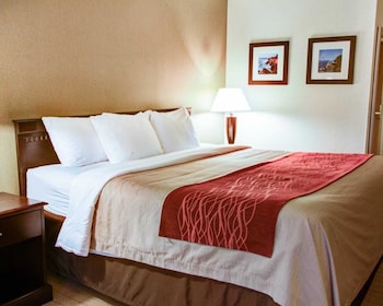 Standard Room, 1 King Bed, Non Smoking