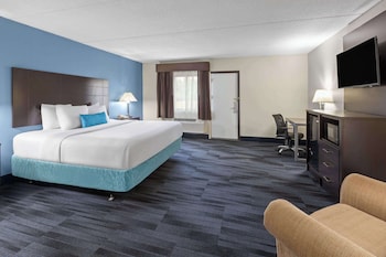Room, 1 King Bed, Accessible, Non Smoking (Mobility, Roll-In Shower)