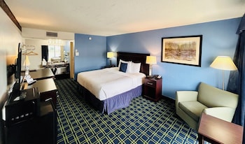 Room, 1 King Bed, Non Smoking
