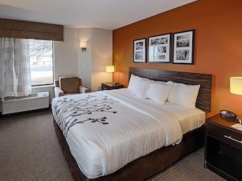 Standard Room, 1 King Bed, Non Smoking
