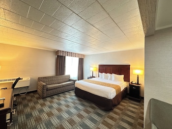 Suite, 1 King Bed and sofa bed, Non Smoking