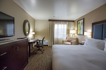 Room, 1 King Bed, Accessible, Non Smoking (Roll-in Shower)