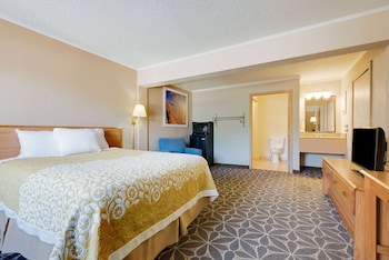 Room, 1 King Bed, Smoking