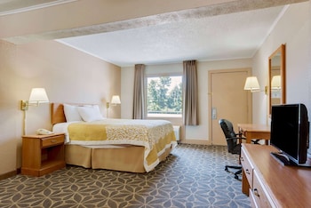Room, 1 King Bed, Smoking