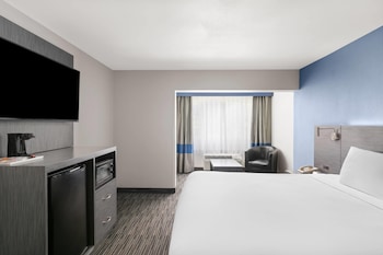 Room, 1 King Bed, Non Smoking