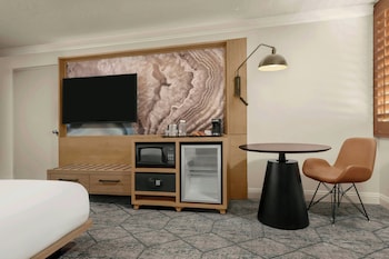 Room, 1 King Bed