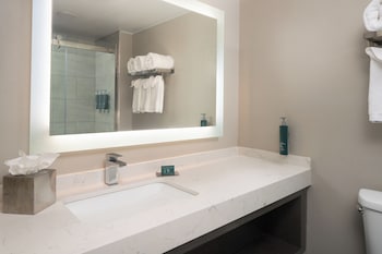 Suite, 1 King Bed