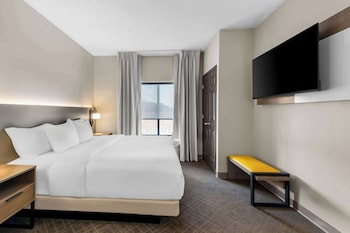 Suite, 1 King Bed, Non Smoking (Sofa Bed)
