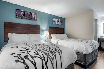 Standard Room, 2 Double Beds, Non Smoking