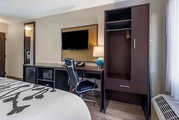 Standard Room, 1 Queen Bed, Non Smoking