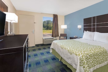 Room, 1 Double Bed, Accessible