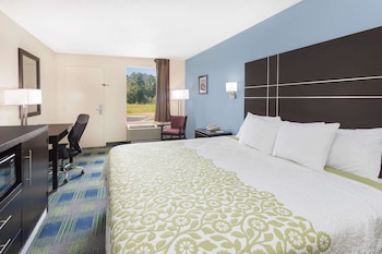 Suite, 1 King Bed, Refrigerator & Microwave