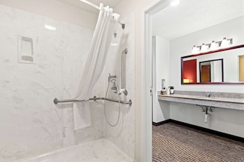 Standard Room, 1 King Bed, Accessible, Refrigerator & Microwave (Walk-in Shower)