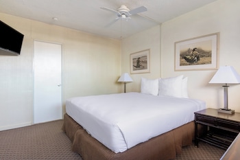 Room, 1 King Bed, Poolside