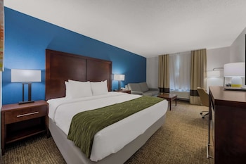 Classic Room, 1 King Bed with Sofa bed, Non Smoking