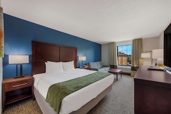 Classic Room, 1 King Bed with Sofa bed, Non Smoking
