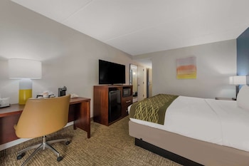 Room, 1 King Bed, Accessible, Non Smoking