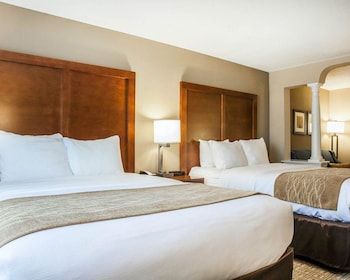 Business Studio Suite, 2 Queens Beds with Sofa Bed