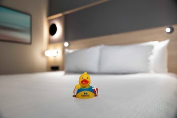 Standard room King Bed