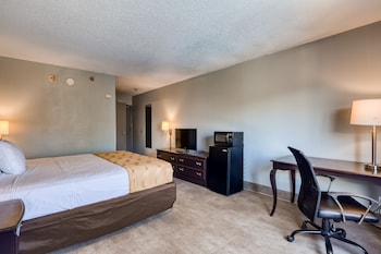 Standard Room, 1 King Bed, Accessible, Refrigerator & Microwave