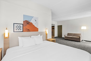 Studio, 1 King Bed