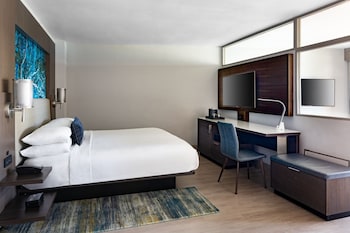 Executive Suite, 1 Bedroom, City View