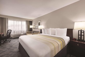 Room, 1 King Bed, Non Smoking