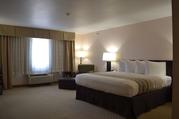 Room, 1 King Bed, Non Smoking