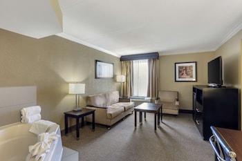 Suite, 1 King Bed, Non Smoking, Jetted Tub (with Sofabed)
