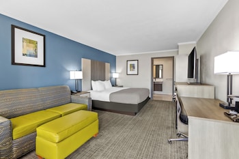 Room, 1 King Bed with Sofa bed, Accessible, Non Smoking