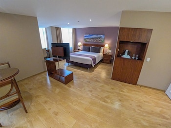 Executive Suite, 1 Queen Bed