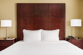 Studio, 1 Queen Bed with Sofa bed