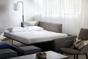 Studio Suite, 1 King Bed with Sofa bed (Mobility/Hearing Access, Roll-In Shwr)