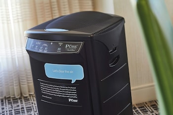 Pure, Room, 1 King Bed, Allergy Friendly