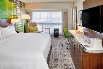 Pure, Room, 1 King Bed, Allergy Friendly