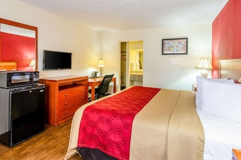 Room, 1 King Bed, Accessible, Non Smoking