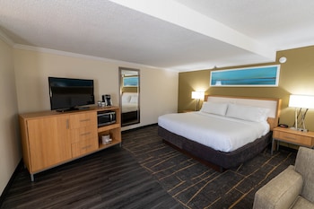 Suite, 1 King Bed