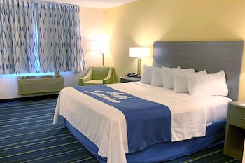 Room, 1 King Bed, Non Smoking
