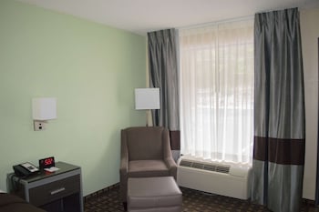Standard Room, 1 King Bed, Non Smoking