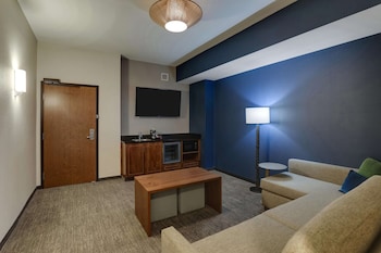 Suite, 1 King Bed with Sofa bed (Sofa Sleeper View, 2 Rooms)