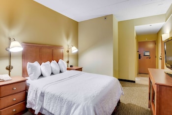 Room, 1 Queen Bed, Mobility Accessible, Non Smoking (Bathtub w/ Grab Bars)