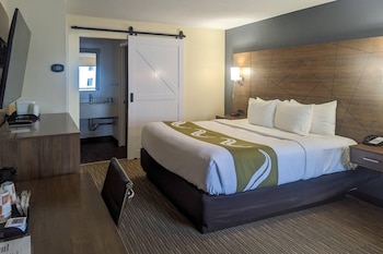 Standard Room, 1 King Bed, Non Smoking