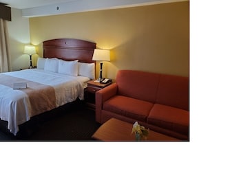Suite, 1 King Bed with Sofa bed, Non Smoking