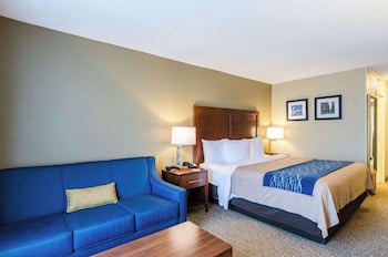 Business Room, 1 King Bed, Non Smoking