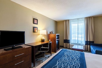 Business Room, 1 King Bed, Non Smoking